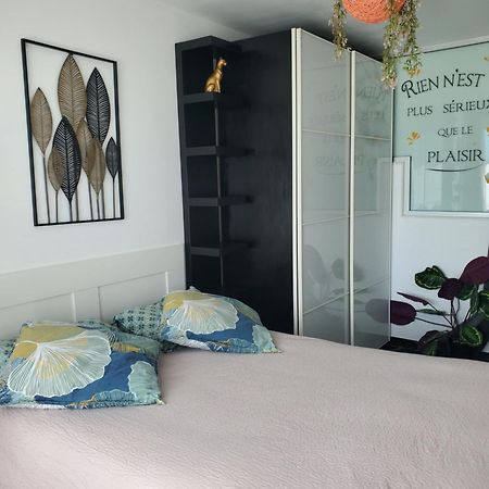 Appartement Cosy Entierement Equipe Toulouse Exterior photo