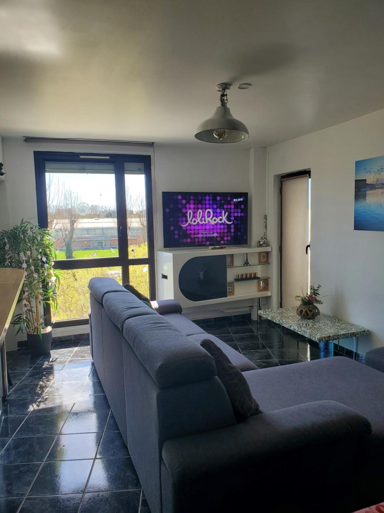 Appartement Cosy Entierement Equipe Toulouse Exterior photo